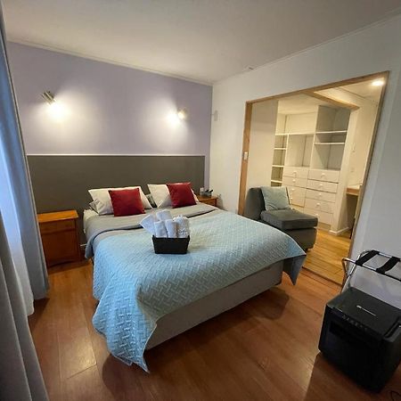 Apart Hotel Don Domingo テムコ エクステリア 写真