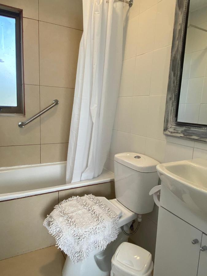 Apart Hotel Don Domingo テムコ エクステリア 写真