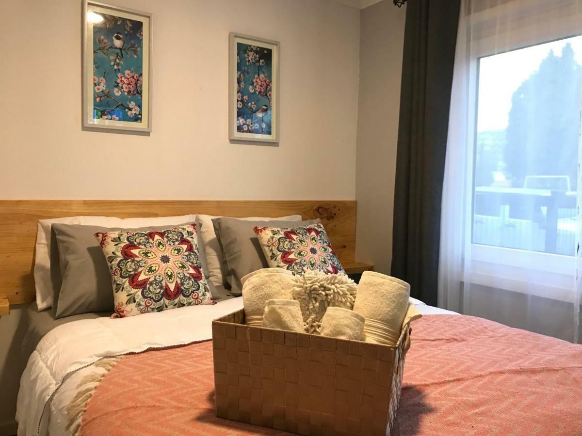 Apart Hotel Don Domingo テムコ エクステリア 写真