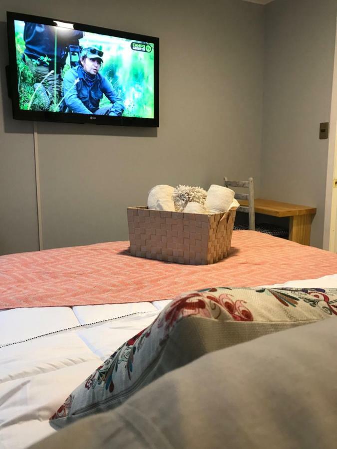 Apart Hotel Don Domingo テムコ エクステリア 写真