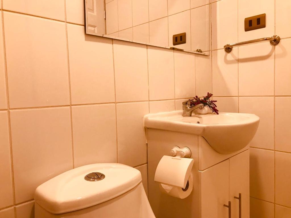 Apart Hotel Don Domingo テムコ エクステリア 写真